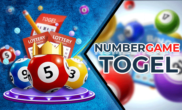 What You Need to Have to Play Online Togel – A Beginner’s Essential Guide